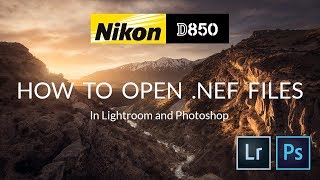 How to open Nikon D850 nef files in Adobe Lightroom and Photoshop [upl. by Rory]