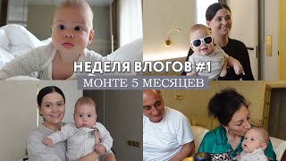 НЕДЕЛЯ ВЛОГОВ 1  День рождения Монте  ему 5 месяцев Родительский дом теперь  гости [upl. by Arotal]