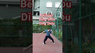 Bajiquan Bēng shǒu dǐng zhǒu remix sports motivation olahraga martialarts [upl. by Adolphus373]