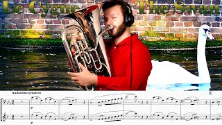 The Swan  SaintSaëns EUPHONIUM SOLO with PIANO Amazing TONE COLOR [upl. by Kelvin363]