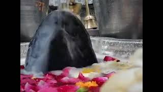 जलाभिषेक श्री नीलकंठ महादेव जी Shri Neelkanth Mahadev Temple Km news [upl. by Anse]