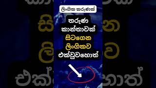 මේ දේ ඇත්තක්ද 😍🥰 psychology education shorts facts [upl. by Nyrem]