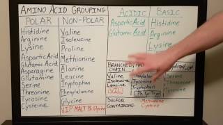 Amino Acid Grouping  Basics for Beginners  Biochemistry Lesson [upl. by Gleda112]