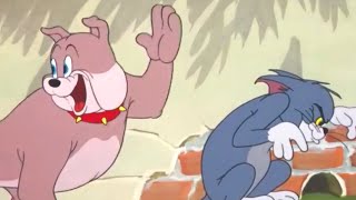 Tom and Jerry  Tom and jerry hindi cartoon  Tom and Jerry cartoon  hindi Tom and जेरी [upl. by Anitap]