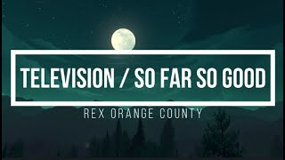 Rex Orange County  Television  So Far So Good Lyrics [upl. by Greyson]