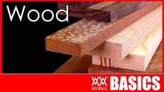 What Kind of Wood Should You Build With  WOODWORKING BASICS [upl. by Sturges838]