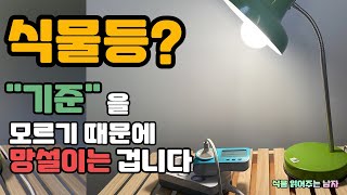 4K🌱효율 좋은 식물등 돈 아끼는 법ㅣfeat 조명의신식물등 고르는 법내구성필립스 골립스 골포 확장형ㅣ지향각 50도 90도 120도ㅣ제라늄 Esp192 🌱 [upl. by Aidnac]