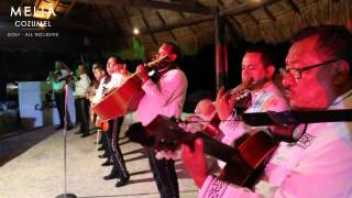 Isla Cozumel Song  Melia Cozumel Golf  All Inclusive [upl. by Aitam]