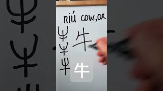 Easy Chinese Writing Chinese farm animals 牛 niú 우 137 [upl. by Belva]