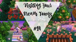 Visiting Your Dream Towns  14  Animal Crossing New Leaf  Welcome amiibo [upl. by Emera]