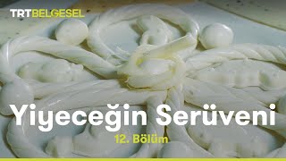 Peynir  Yiyeceğin Serüveni  TRT Belgesel [upl. by Blasius380]