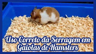 Como Usar a Serragem Corretamente na Gaiola do seu Hamster [upl. by Aidualk]