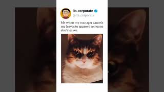 When My Manager Cancel My Leave  memes corporatelifememes humormeme manager funny meme cat [upl. by Ernesta]