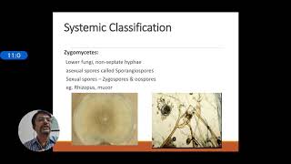 Introduction to Mycology [upl. by Stavros]