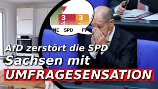 AfD in Sachsen kurz vor der absoluten Mehrheit [upl. by Elleval]