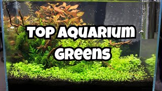 11 Best Aquarium Carpet Plants 🌿 [upl. by Mcintosh]