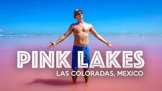 LAS COLORADAS PINK LAKE  Mexico [upl. by Frayda]