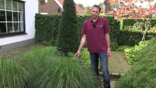 Siergras Pennisetum  twishgardennl [upl. by Landahl]