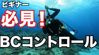 【BCDコントロールの習得】熱烈先生のダイビング講座 第148講 [upl. by Buckingham]