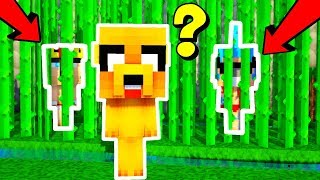 EL MEJOR ESCONDITE DE TODO MINECRAFT 😂 NADIE PUEDE VERNOS 😆 MINECRAFT TROLL [upl. by Artair400]