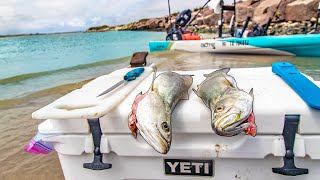 island fish catch and cook  overnight mini boat fishing venture [upl. by Sobmalarah]