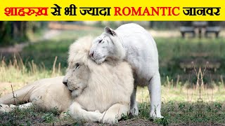 कभी इन जानवरों को Reproduction करते देखा है  Animal’s Reproduction Tactics [upl. by Erbma962]