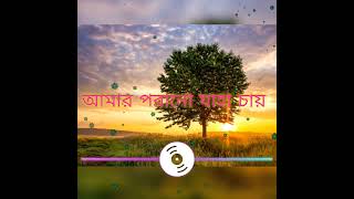 Amaro Porano Jaha Chay আমার পরানো যাহা চায় lyrics  Robindra Sangeet  Marjan [upl. by Trude296]