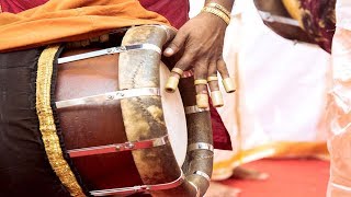 Namagiripettai Krishnan  Nadaswaram Music  Endaro Mahanubhavulu – Carnatic Classical Music [upl. by Naenej]