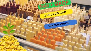 Opportunité daffaires  Démarrer une entreprise de production de glaces à leau [upl. by Haianeb16]