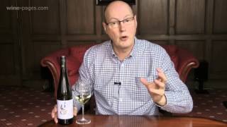 Morrisons Gruner Veltliner Austria wine review [upl. by Gauldin]