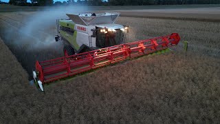 CLAAS LEXION 8700TT am Raps dreschen  Abfahrer FENDT 936 mit HAWE Überladewagen  Dämmerung  4K [upl. by Grondin757]