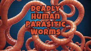 Deadly Human Parasitic Worms [upl. by Newhall]