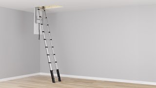 Telesteps Loft Line Telescopic Ladder [upl. by Nilesoj88]