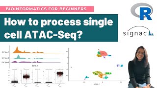 How to analyze singlecell ATACSeq data in R  Detailed Signac Workflow Tutorial [upl. by Owiat677]