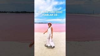 Las Coloradas vs Las salineras de Xtampú ¿A cuáles ir 💕 yucatán meridayucatan travel yucatan [upl. by Reilamag]