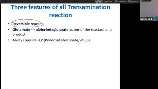 Amino acid catabolism Transamination Reactions of AA and Functions of Vitamin B6 PLP USMLE step1 [upl. by Drof893]