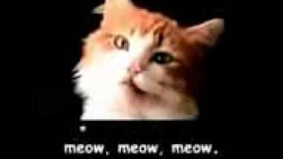 Official Meow Mix Commercial wLyrics [upl. by Oir]