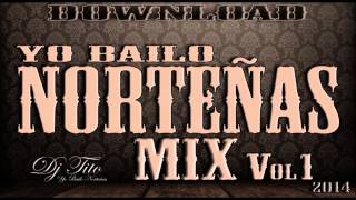 Yo Bailo Norteñas Mix Vol1 2014 [upl. by Maddox]