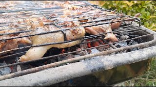 Bıldırcın Avı 2023 Kocaeli Kartepe  Quail Hunting in Turkey [upl. by Ardnuasac148]