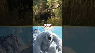 BigFoot Vs Mammoth Polar Bear Wolf Whales Sharks Placoderm [upl. by Ibbie]