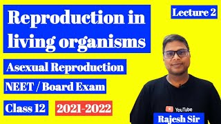 Reproduction In Living Organisms  Asexual Reproduction  Class 12 CBSE Board  Biology NCERT [upl. by Sawtelle682]