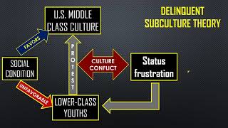 THEORIES OF CRIME CAUSATION Sociological Theories [upl. by Nauaj]