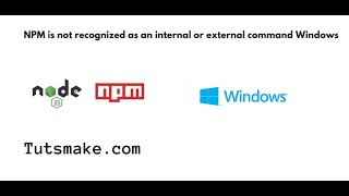 npm is not recognized as an internal or external command windows 11 [upl. by Orazal]