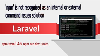 npm install ampamp npm run dev not working issues solution [upl. by Saitam214]