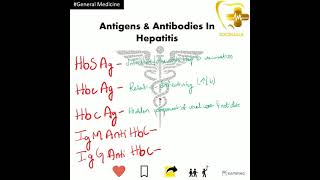 NEET PGINICETUSMLEAntigens amp Antibodies In Hepatitis General Medicine👩‍⚕️ [upl. by Aleda]