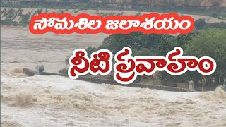 somasila dam heavy rain water సోమశిల జల భీభత్సం opened all gates Nellore district [upl. by Luelle]