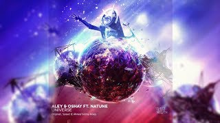 Aley amp Oshay Ft Natune  Universe Sunset amp Ahmed Helmy Remix TRANCE TEMPLE Records ASOT849 [upl. by Rheingold]