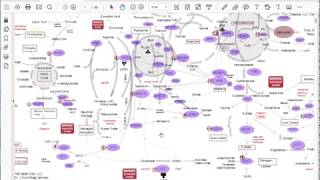 Methylation Interactive Chart Instruction Video [upl. by Allenrad353]