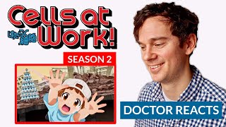 Real Doctor Reacts to CELLS AT WORK  Season 2 Episode 1  quotBumpquot [upl. by Florie]