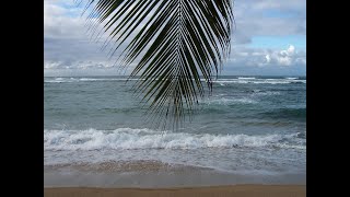 bruit de la mer relaxant musique douce belle plage pour être en paix et se relaxer [upl. by Eico]